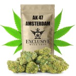 Susz konopny AK 47 SUPER AMSTERDAM CBD