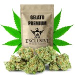 Susz konopny Gelato CBD PREMIUM