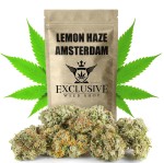 Susz konopny Lemon Haze SUPER AMSTERDAM CBD