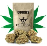 Susz konopny Cookies CBD