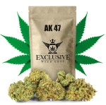 Susz konopny  AK 47 CBD