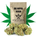 Susz konopny OG Royal Kush CBD