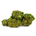 ak47-premium-3.jpg