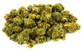 Cannatonic_1.jpg