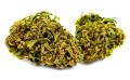 Cannatonic_2.jpg