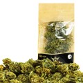 cannatonic_worek.jpg