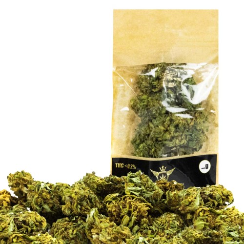 cannatonic_worek.jpg