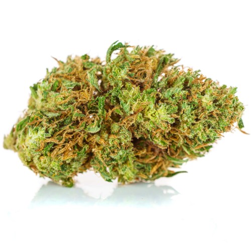 susz cbd orange haze amsterdam exclusiveweed sklep cbd 1g 2g 3g 4g 5g 10g 20g 30g 40g 50g 100g 200g 300g 400g 500g 1000g 1kg 2kg 5kg 10kg hurt detal (6 of 8).jpg
