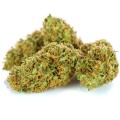 susz cbd orange haze amsterdam exclusiveweed sklep cbd 1g 2g 3g 4g 5g 10g 20g 30g 40g 50g 100g 200g 300g 400g 500g 1000g 1kg 2kg 5kg 10kg hurt detal (8 of 8).jpg
