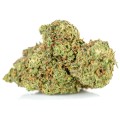 susz cbd amnesia amsterdam exclusiveweed sklep cbd 1g 2g 3g 4g 5g 10g 20g 30g 40g 50g 100g 200g 300g 400g 500g 1000g 1kg 2kg 5kg 10kg hurt detal (1 of 41) (2).jpg