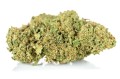 susz cbd amnesia amsterdam exclusiveweed sklep cbd 1g 2g 3g 4g 5g 10g 20g 30g 40g 50g 100g 200g 300g 400g 500g 1000g 1kg 2kg 5kg 10kg hurt detal (1 of 41) (5).jpg