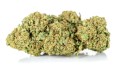 susz cbd amnesia amsterdam exclusiveweed sklep cbd 1g 2g 3g 4g 5g 10g 20g 30g 40g 50g 100g 200g 300g 400g 500g 1000g 1kg 2kg 5kg 10kg hurt detal (1 of 41) (6).jpg