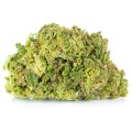 susz cbd ak 47 super ammsterdam exclusiveweed sklep cbd 1g 2g 3g 4g 5g 10g 20g 30g 40g 50g 100g 200g 300g 400g 500g 1000g 1kg 2kg 5kg 10kg hurt detal (1).JPG