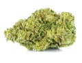 susz cbd ak 47 super ammsterdam exclusiveweed sklep cbd 1g 2g 3g 4g 5g 10g 20g 30g 40g 50g 100g 200g 300g 400g 500g 1000g 1kg 2kg 5kg 10kg hurt detal (3).JPG