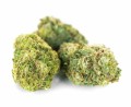 susz cbd ak 47 super ammsterdam exclusiveweed sklep cbd 1g 2g 3g 4g 5g 10g 20g 30g 40g 50g 100g 200g 300g 400g 500g 1000g 1kg 2kg 5kg 10kg hurt detal (9).JPG