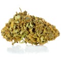 susz cbd cannatonic exclusiveweed sklep cbd 1g 2g 3g 4g 5g 10g 20g 30g 40g 50g 100g 200g 300g 400g 500g 1000g 1kg 2kg 5kg 10kg hurt detal  (1).jpg