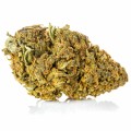 susz cbd cannatonic exclusiveweed sklep cbd 1g 2g 3g 4g 5g 10g 20g 30g 40g 50g 100g 200g 300g 400g 500g 1000g 1kg 2kg 5kg 10kg hurt detal  (4).jpg