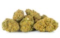 susz cbd cannatonic exclusiveweed sklep cbd 1g 2g 3g 4g 5g 10g 20g 30g 40g 50g 100g 200g 300g 400g 500g 1000g 1kg 2kg 5kg 10kg hurt detal  (6).jpg