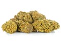 susz cbd cannatonic exclusiveweed sklep cbd 1g 2g 3g 4g 5g 10g 20g 30g 40g 50g 100g 200g 300g 400g 500g 1000g 1kg 2kg 5kg 10kg hurt detal  (7).jpg