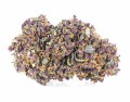 susz cbd purple haze amsterdam exclusiveweed sklep cbd 1g 2g 3g 4g 5g 10g 20g 30g 40g 50g 100g 200g 300g 400g 500g 1000g 1kg 2kg 5kg 10kg hurt detal (2).JPG