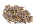 susz cbd purple haze amsterdam exclusiveweed sklep cbd 1g 2g 3g 4g 5g 10g 20g 30g 40g 50g 100g 200g 300g 400g 500g 1000g 1kg 2kg 5kg 10kg hurt detal (3).JPG