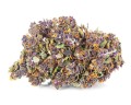 susz cbd purple haze amsterdam exclusiveweed sklep cbd 1g 2g 3g 4g 5g 10g 20g 30g 40g 50g 100g 200g 300g 400g 500g 1000g 1kg 2kg 5kg 10kg hurt detal (4).JPG
