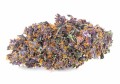 susz cbd purple haze amsterdam exclusiveweed sklep cbd 1g 2g 3g 4g 5g 10g 20g 30g 40g 50g 100g 200g 300g 400g 500g 1000g 1kg 2kg 5kg 10kg hurt detal (5).JPG