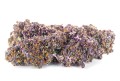 susz cbd purple haze amsterdam exclusiveweed sklep cbd 1g 2g 3g 4g 5g 10g 20g 30g 40g 50g 100g 200g 300g 400g 500g 1000g 1kg 2kg 5kg 10kg hurt detal (6).JPG