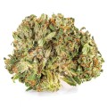 susz cbd konopny lemon haze amsterdam exclusiveweed sklep cbd 1g 2g 3g 4g 5g 10g 20g 30g 40g 50g 100g 200g 300g 400g 500g 1000g 1kg 2kg 5kg 10kg hurt detal (1).JPG