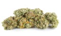 susz cbd konopny lemon haze amsterdam exclusiveweed sklep cbd 1g 2g 3g 4g 5g 10g 20g 30g 40g 50g 100g 200g 300g 400g 500g 1000g 1kg 2kg 5kg 10kg hurt detal (2).jpg