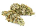 susz cbd konopny lemon haze amsterdam exclusiveweed sklep cbd 1g 2g 3g 4g 5g 10g 20g 30g 40g 50g 100g 200g 300g 400g 500g 1000g 1kg 2kg 5kg 10kg hurt detal (3).jpg