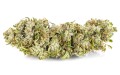 susz cbd konopny lemon haze amsterdam exclusiveweed sklep cbd 1g 2g 3g 4g 5g 10g 20g 30g 40g 50g 100g 200g 300g 400g 500g 1000g 1kg 2kg 5kg 10kg hurt detal (5).JPG