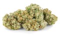 susz cbd konopny lemon haze amsterdam exclusiveweed sklep cbd 1g 2g 3g 4g 5g 10g 20g 30g 40g 50g 100g 200g 300g 400g 500g 1000g 1kg 2kg 5kg 10kg hurt detal (9).JPG