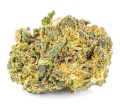 susz cbd konopny bubble gum exclusiveweed sklep cbd 1g 2g 3g 4g 5g 10g 20g 30g 40g 50g 100g 200g 300g 400g 500g 1000g 1kg 2kg 5kg 10kg hur (2).JPG