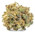 susz cbd konopny bubble gum exclusiveweed sklep cbd 1g 2g 3g 4g 5g 10g 20g 30g 40g 50g 100g 200g 300g 400g 500g 1000g 1kg 2kg 5kg 10kg hur (3).JPG