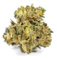 susz cbd konopny bubble gum exclusiveweed sklep cbd 1g 2g 3g 4g 5g 10g 20g 30g 40g 50g 100g 200g 300g 400g 500g 1000g 1kg 2kg 5kg 10kg hur (4).JPG