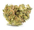 susz cbd konopny bubble gum exclusiveweed sklep cbd 1g 2g 3g 4g 5g 10g 20g 30g 40g 50g 100g 200g 300g 400g 500g 1000g 1kg 2kg 5kg 10kg hur (5).JPG