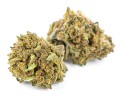 susz cbd konopny bubble gum exclusiveweed sklep cbd 1g 2g 3g 4g 5g 10g 20g 30g 40g 50g 100g 200g 300g 400g 500g 1000g 1kg 2kg 5kg 10kg hur (6).JPG