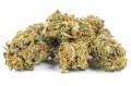 susz cbd konopny bubble gum exclusiveweed sklep cbd 1g 2g 3g 4g 5g 10g 20g 30g 40g 50g 100g 200g 300g 400g 500g 1000g 1kg 2kg 5kg 10kg hur (8).JPG