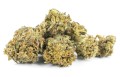 susz cbd konopny bubble gum exclusiveweed sklep cbd 1g 2g 3g 4g 5g 10g 20g 30g 40g 50g 100g 200g 300g 400g 500g 1000g 1kg 2kg 5kg 10kg hur (9).jpg
