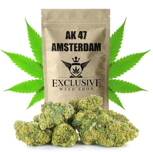 susz-cbd-ak-47-amsterdam-exclusiveweed-sklep-cbd-1g-2g-3g-4g-5g-10g-20g-30g-40g-50g-100g-200g-300g-400g-500g-1000g-1kg-2kg-5kg-10kg-hurt-detal--(20).jpg