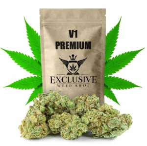 Susz konopny V1 CBD PREMIUM