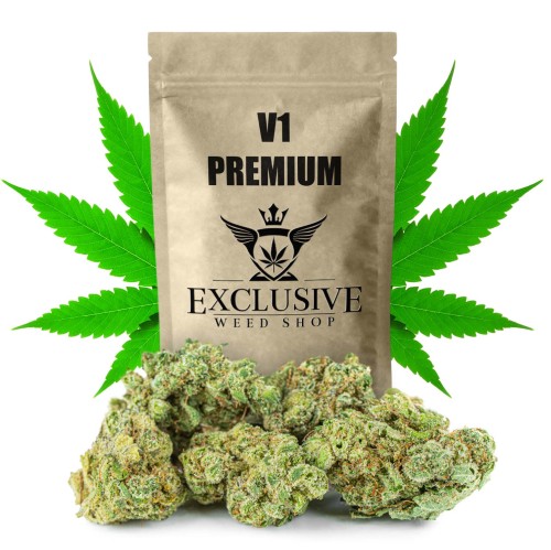 susz cbd v1 premium exclusiveweed sklep cbd 1g 2g 3g 4g 5g 10g 20g 30g 40g 50g 100g 200g 300g 400g 500g 1000g 1kg 2kg 5kg 10kg hurt detal (2).jpg