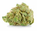 susz cbd v1 premium exclusiveweed sklep cbd 1g 2g 3g 4g 5g 10g 20g 30g 40g 50g 100g 200g 300g 400g 500g 1000g 1kg 2kg 5kg 10kg hurt detal (3).JPG