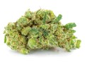 susz cbd v1 premium exclusiveweed sklep cbd 1g 2g 3g 4g 5g 10g 20g 30g 40g 50g 100g 200g 300g 400g 500g 1000g 1kg 2kg 5kg 10kg hurt detal (6).JPG