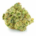 susz cbd v1 premium exclusiveweed sklep cbd 1g 2g 3g 4g 5g 10g 20g 30g 40g 50g 100g 200g 300g 400g 500g 1000g 1kg 2kg 5kg 10kg hurt detal (7).JPG