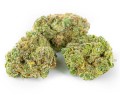 susz cbd v1 premium exclusiveweed sklep cbd 1g 2g 3g 4g 5g 10g 20g 30g 40g 50g 100g 200g 300g 400g 500g 1000g 1kg 2kg 5kg 10kg hurt detal (10).JPG