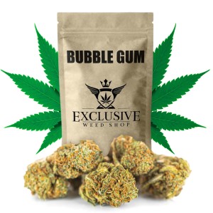 Susz konopny  Bubble Gum CBD