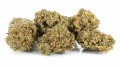 susz-cbd-cookies-exclusiveweed-sklep-cbd-1g-2g-3g-4g-5g-10g-20g-30g-40g-50g-100g-200g-300g-400g-500g-1000g-1kg-2kg-5kg-10kg-hurt-detal (2).jpg