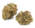 susz-cbd-cookies-exclusiveweed-sklep-cbd-1g-2g-3g-4g-5g-10g-20g-30g-40g-50g-100g-200g-300g-400g-500g-1000g-1kg-2kg-5kg-10kg-hurt-detal (3).JPG
